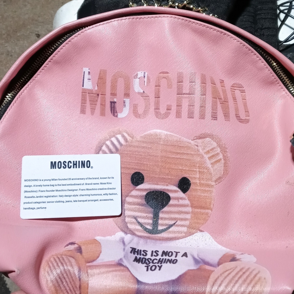 Backpack/purse